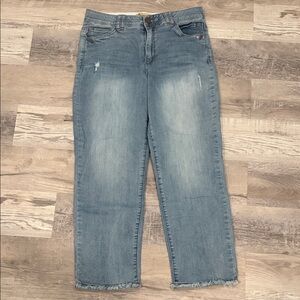 Democracy Classic Blue Distressed “Ab Technology” Women's Jeans